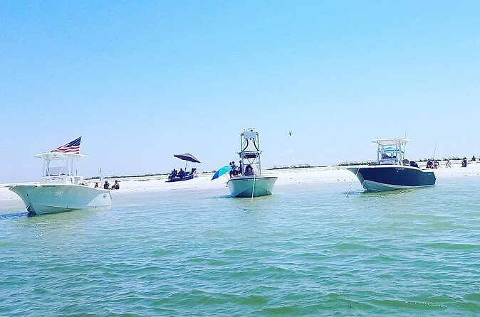 Sandbar, Beach, Dolphin Watching Cruise Sarasota, Florida - The Sum Up