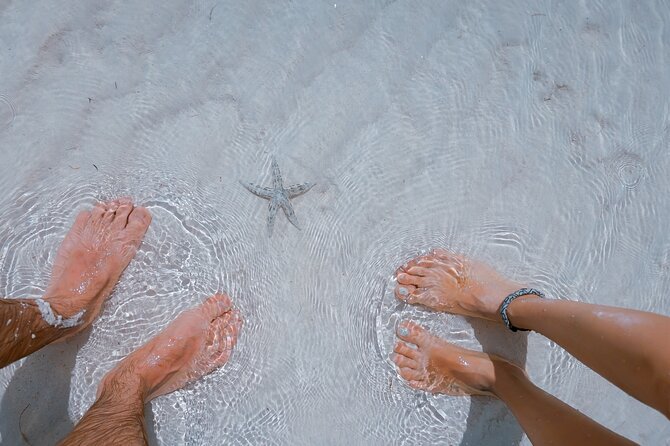 Sandbar Boat Trip in Key West - Booking and Trip Details