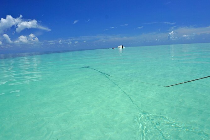 Sandbar Excursion in Key West - The Sum Up
