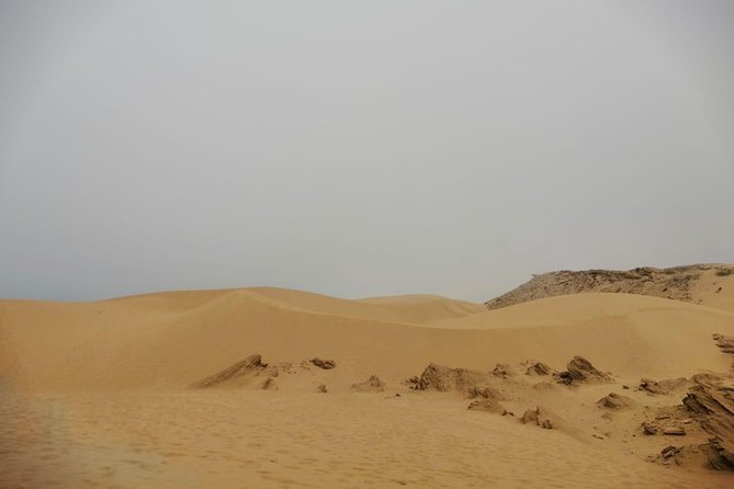 Sandboarding Guided Experience From Agadir - Sandboarding Group Tour From Agadir