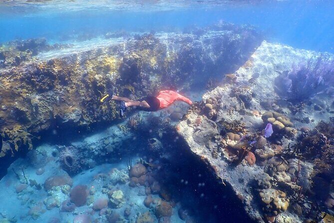 Sandboarding & Snorkeling at the Dominican desert - A Full Breakdown of the Day: What to Expect