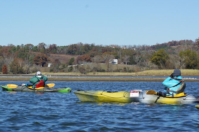 Sandhill Crane Kayak Tour With Chattanooga Guided Adventures - Pricing and Booking