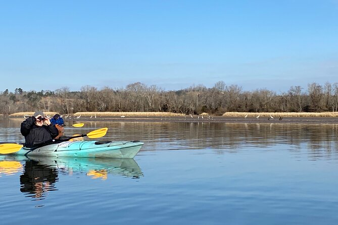 Sandhill Crane Kayak Tour With Chattanooga Guided Adventures - Minimum Traveler Requirement