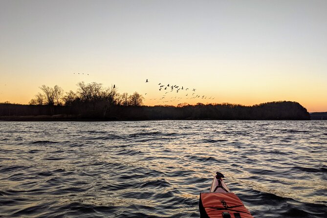 Sandhill Crane Kayak Tour With Chattanooga Guided Adventures - Common Questions