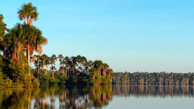 Sandoval Lake Tambopata 4 Days 3 Nights: Chuncho Macaw Clay - Wildlife Encounters