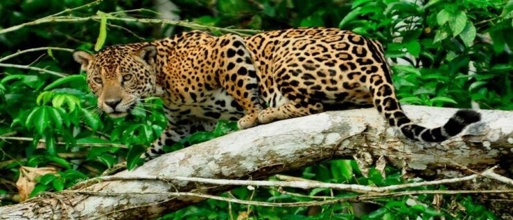 Sandoval Lake Tour 3 Days - Inclusions and Booking Details