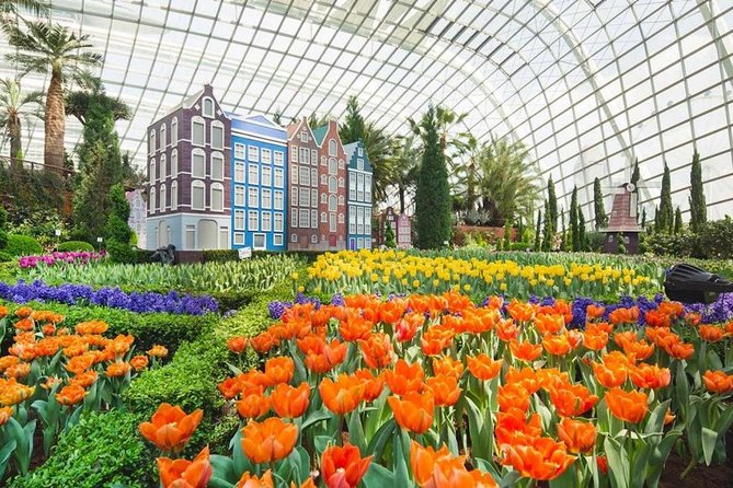 Sands SkyParkGardens by the Bay(FlowerDome&SuperTree)Transfers - What to Expect