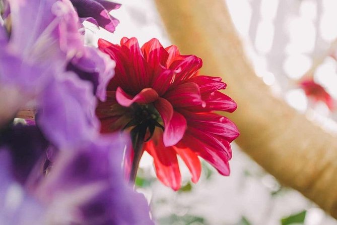 Sands SkyParkGardens by the Bay(FlowerDome&SuperTree)Transfers - Additional Information