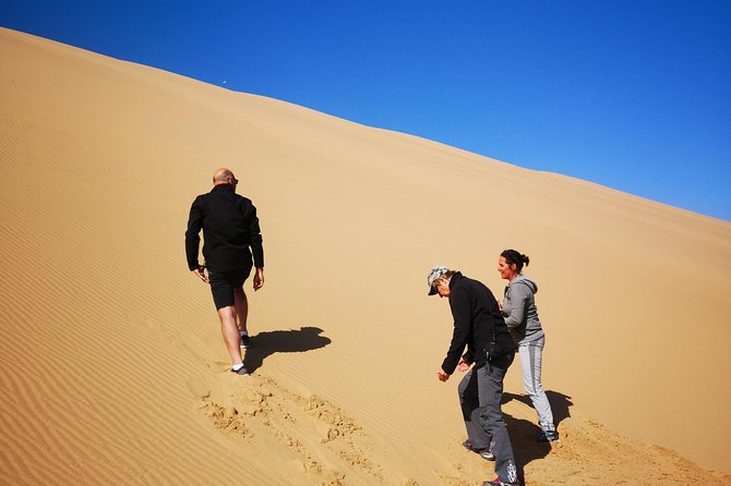 Sandwhich Harbour Dune 4x4 Half Day - Frequently Asked Questions