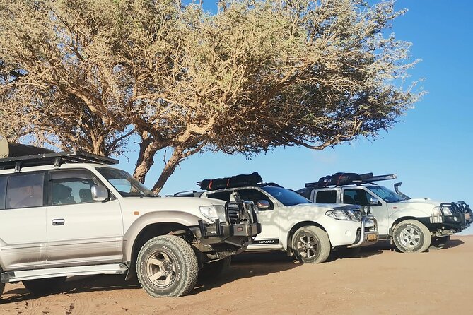 Sandwich Harbour 4X4 Excursion Tour Food and Drinks - Picnic Setup