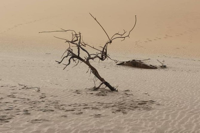 Sandwich Harbour 4x4 Guided Tours.Join Us for an Awe Inspiring Adventure. - Tour FAQs