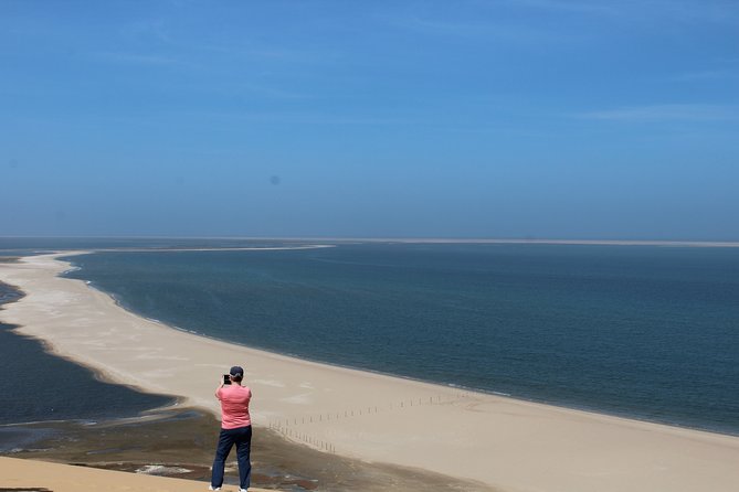 Sandwich Harbour 4x4 Tour - Wildlife Encounters