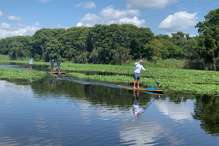 Sanford: Guided SUP or Kayak Manatee-Watching Tour - Experience Highlights