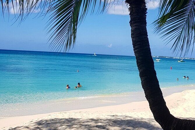 Sangster International Airport to Negril Tree House Resort - Pricing and Value for Money