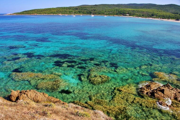 Sanguinaires Islands Tour Capo Di Feno - Activities and Amenities