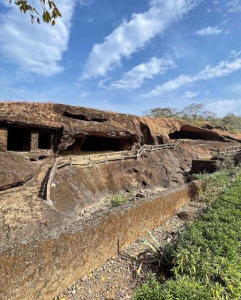 Sanjay Gandhi National Park + Kenheri Caves + Lion Safari - The Sum Up