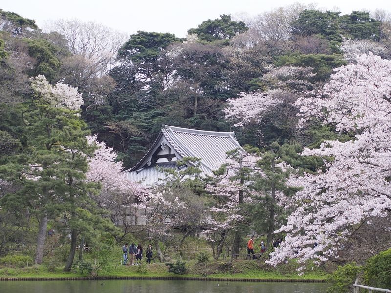 Sankeien Garden Admission - A garden shaped by Tomitaro Hara