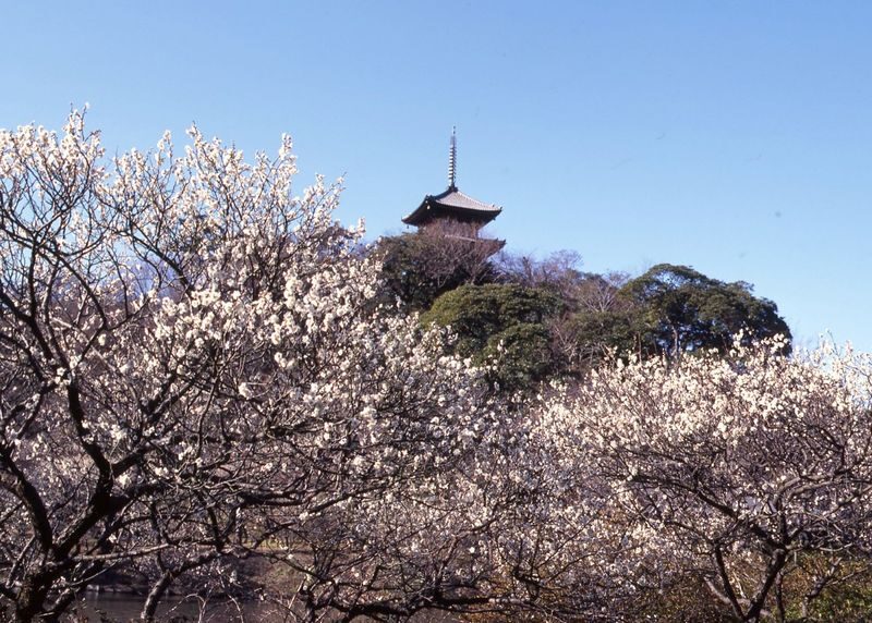 Sankeien Garden Admission - Start at the entrance, then follow the garden’s rhythm