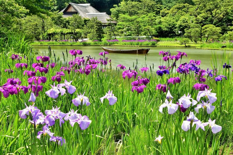 Sankeien Garden Admission - Tea, sweets and a pause from the paths