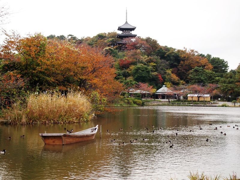 Sankeien Garden Admission - What the ticket price gets you