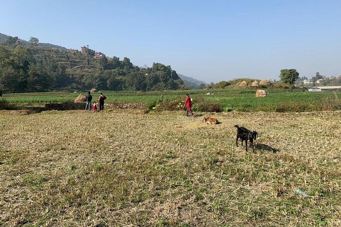 Sankhu Nagarkot Hiking, and Bhaktapur Durbar Square Visit - Discovering the Historical Wonders in Bhaktapur