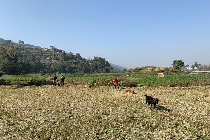 Sankhu Nagarkot Hiking - Cancellation Policy