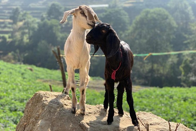 Sankhu Nagarkot Hiking - Pricing