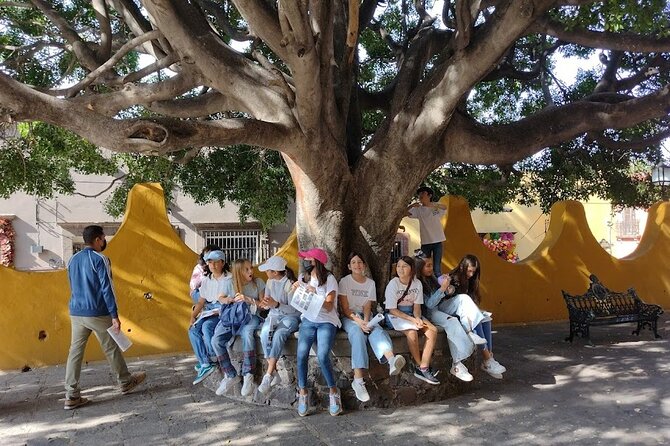 Sanmigueleando Tour for Kids and Adults - Contact and Support