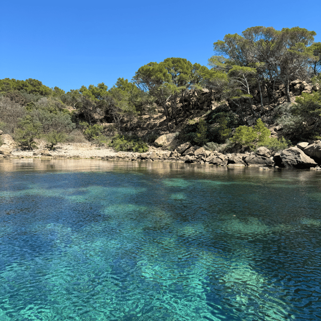 Sant Elm: Visit Dragonera Island by Boat - Good To Know