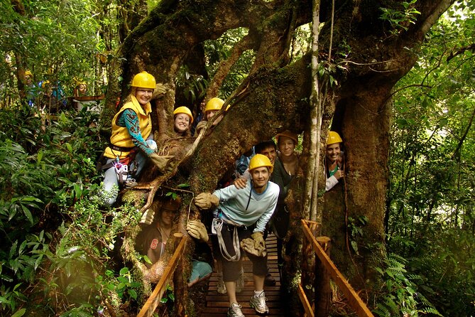 Santa Ana Adventure: Coffee, Forests, and Ziplining - Tour Highlights