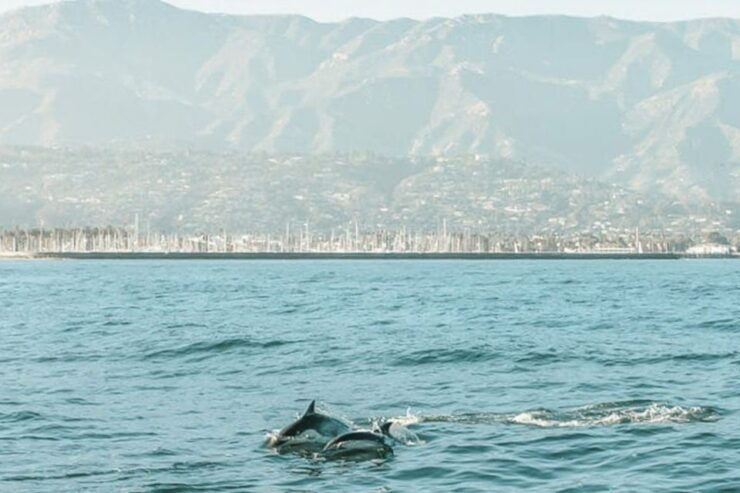 Santa Barbara: Catamaran Sunset Cruise - Good To Know