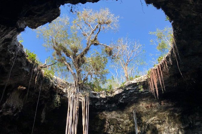 Santa Bárbara Cenotes Tour - Common Questions