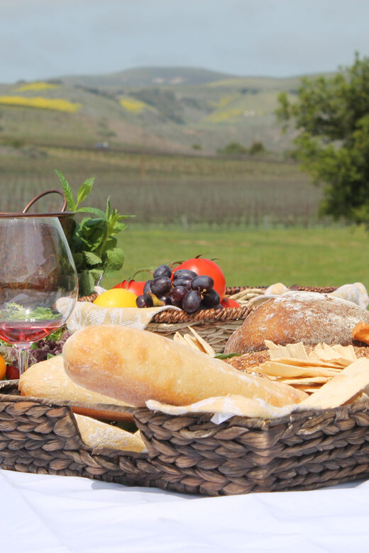 Santa Barbara: E-bike wine tour w/ transport, tasting, lunch - Good To Know