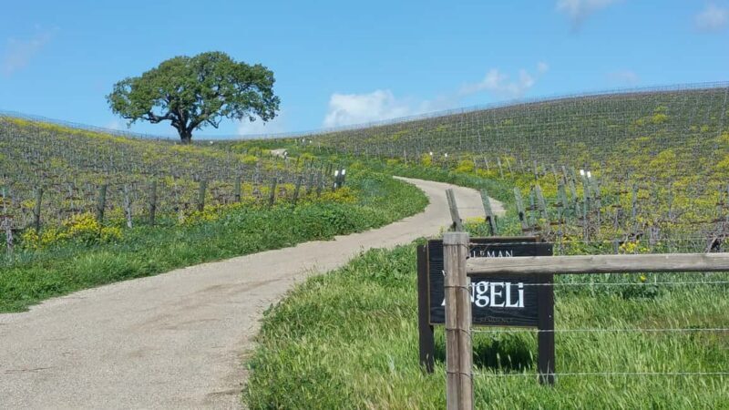 Santa Barbara: E-bike wine tour w/ transport, tasting, lunch - An In-Depth Look at the Santa Barbara E-bike Wine Tour