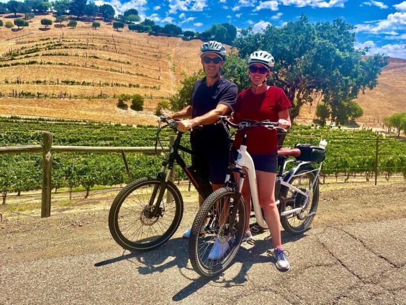 Santa Barbara: E-bike wine tour w/ transport, tasting, lunch - Who Will Love This Tour?