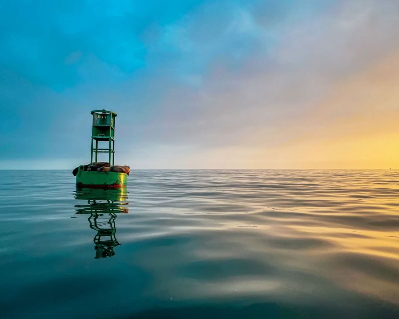 Santa Barbara Harbor: Sunset Kayak Tour (2 Hours) - Good To Know
