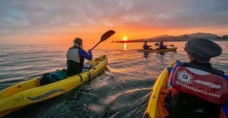 Santa Barbara Harbor: Sunset Kayak Tour (2 Hours) - Who Will Love It?