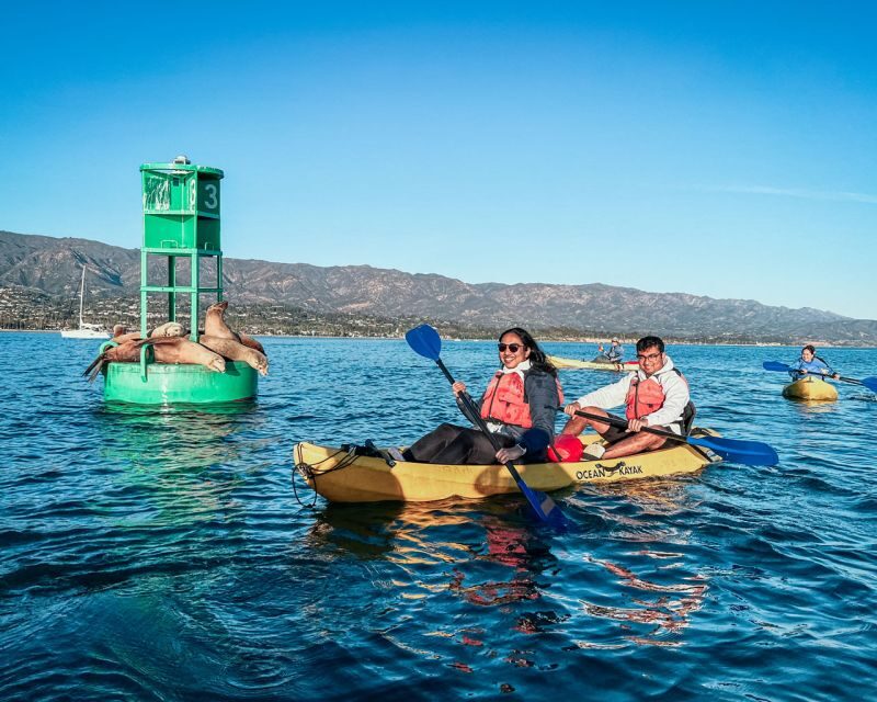 Santa Barbara Harbor: Wildlife Kayak Tour (2 Hours) - Good To Know  
