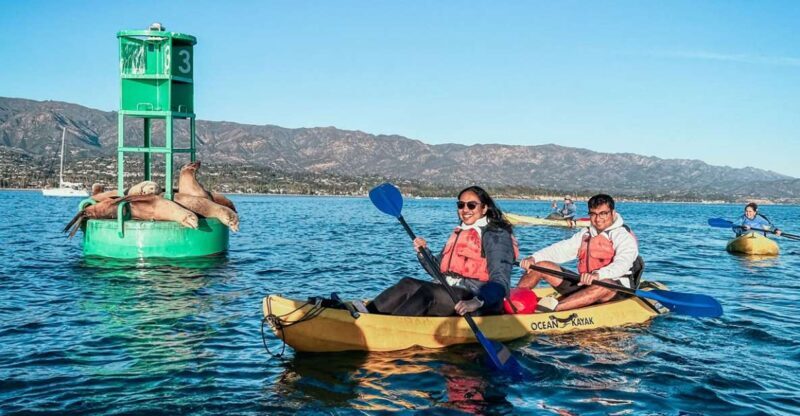 Santa Barbara Harbor: Wildlife Kayak Tour (2 Hours) - Final Thoughts: Is This Tour Worth It?