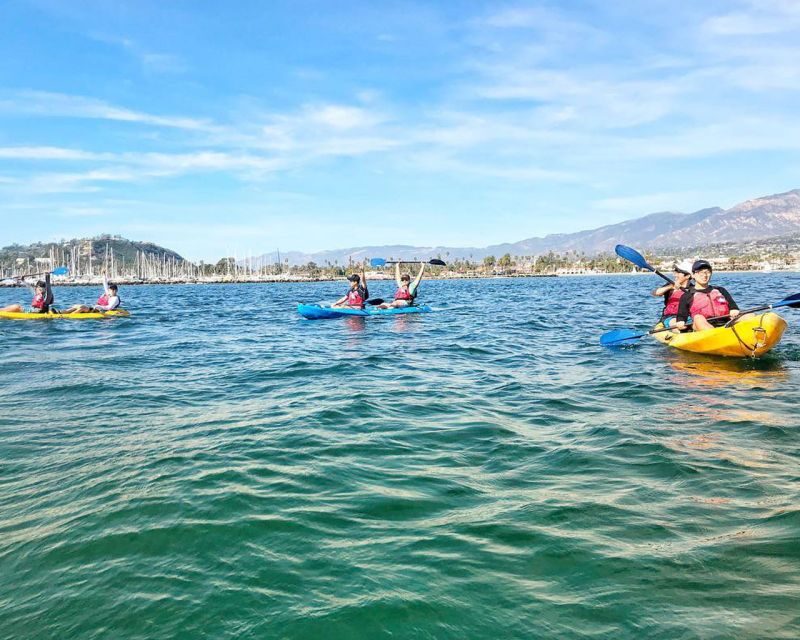 Santa Barbara Harbor: Wildlife Kayak Tour (2 Hours) - FAQ