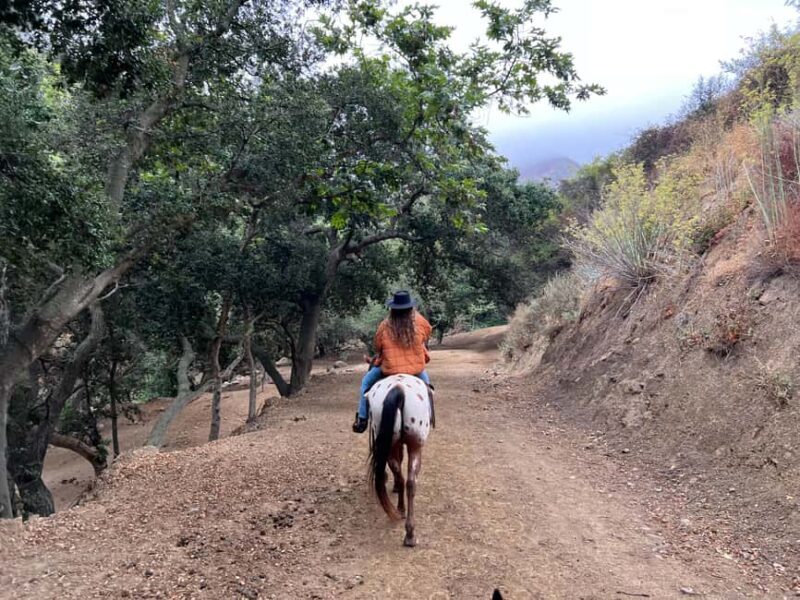 Santa Barbara: Horseback Riding and Wine Tasting Tour - Good To Know