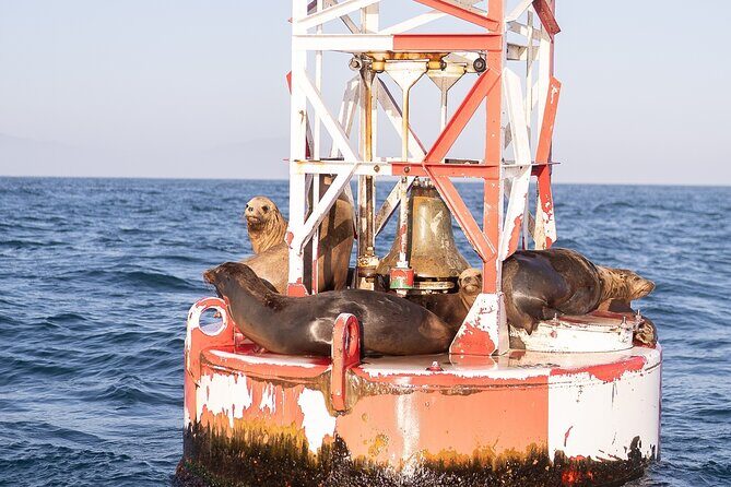 Santa Barbara Narrated Coastal Yacht Experience - Pricing & Value