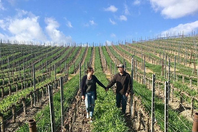 Santa Barbara Small-Group Wine Tour to Private Estates & Wineries - Expectations and Requirements