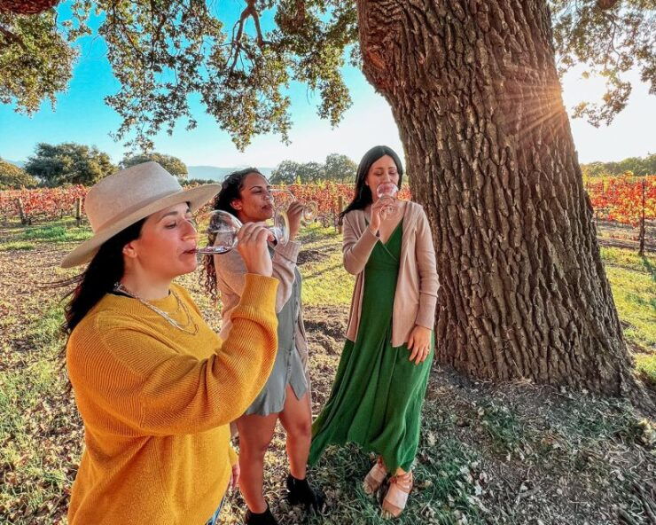Santa Barbara: Wine Country Tour - Activity Details