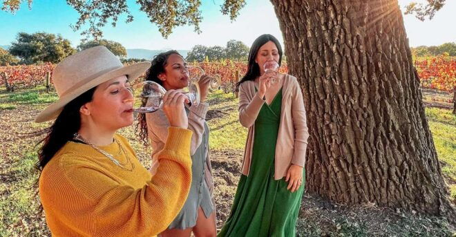 Santa Barbara: Wine Country Tour - Review Summary