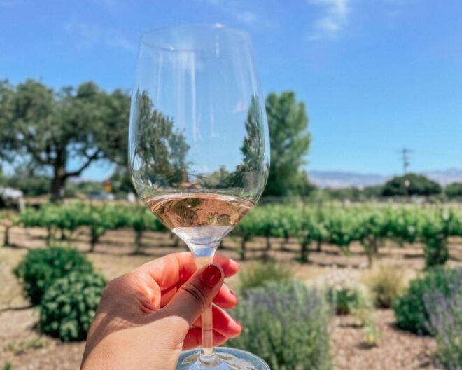 Santa Barbara: Wine Country Tour - The Sum Up