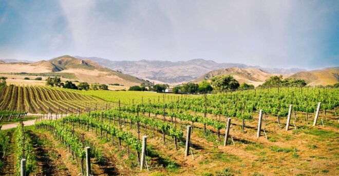 Santa Barbara: Wine Country Tour With Lunch - Directions