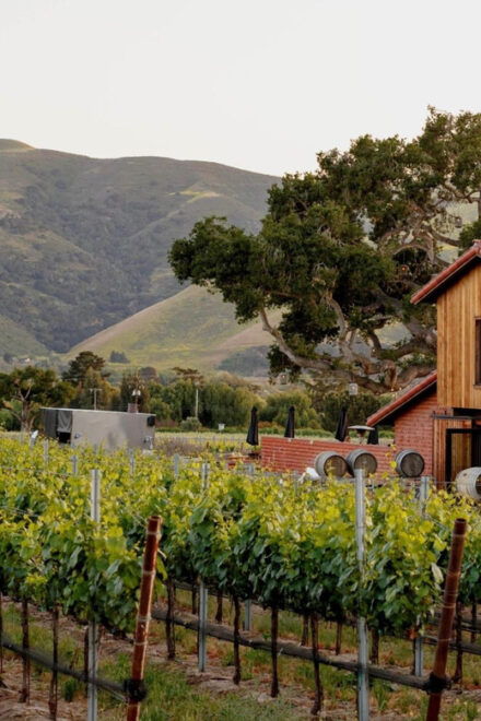 Santa Barbara Wine Country Vineyards & Villages Tour - Pickup Locations