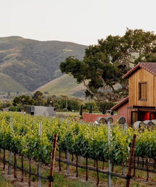 Santa Barbara Wine Country Vineyards & Villages Tour - Scenic Views