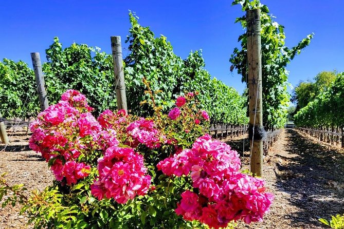 Santa Barbara Wine Tasting Day Tour From Los Angeles - Pricing and Booking Information